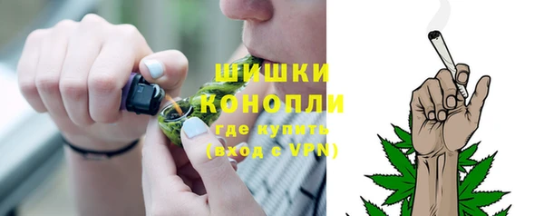 гидропоника Белокуриха